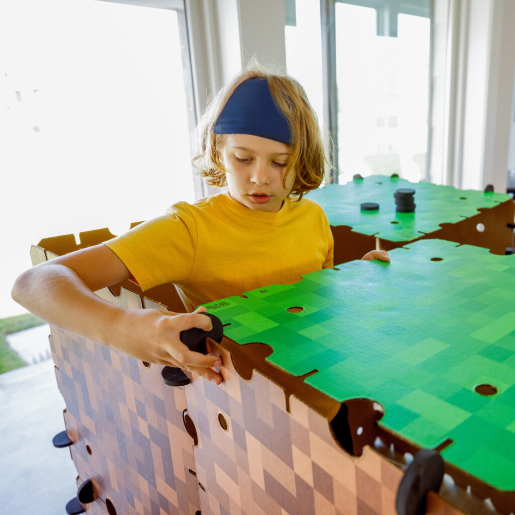 Minecraft Birthday Party: Ideas and Tips